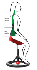 Regions Which Benefit from the Back App Chair