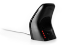 DXT Mouse 3 - Back Profile