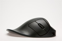 Handshoe Mouse - side view of black model