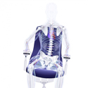 PUREis3 Series Chair - Keeps Joints Moving