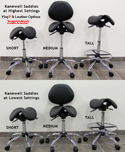 Kanewell Twin Adjustable Saddle Stool - Height Adjustment Ranges