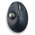 Pro Fit Ergo TB550 Trackball - Top